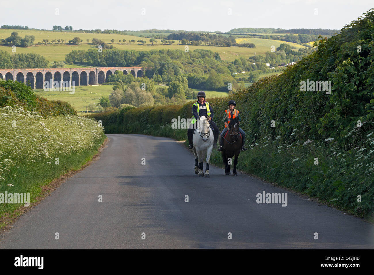 Horses being ridden up a country lane. Harringworth Viaduct is in the background Stock Photo
