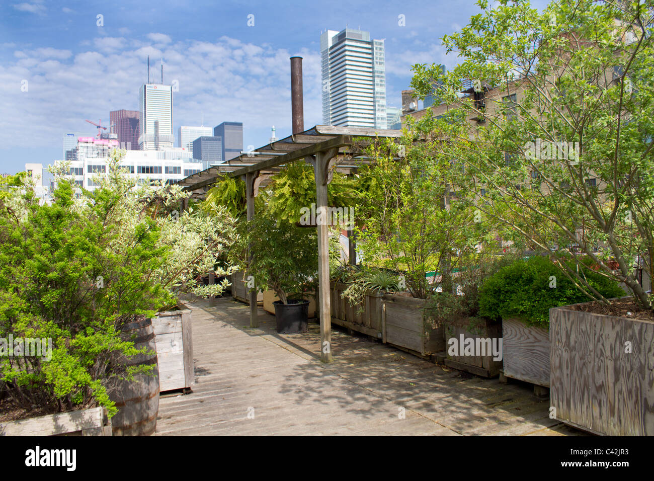 roof top garden city Stock Photo