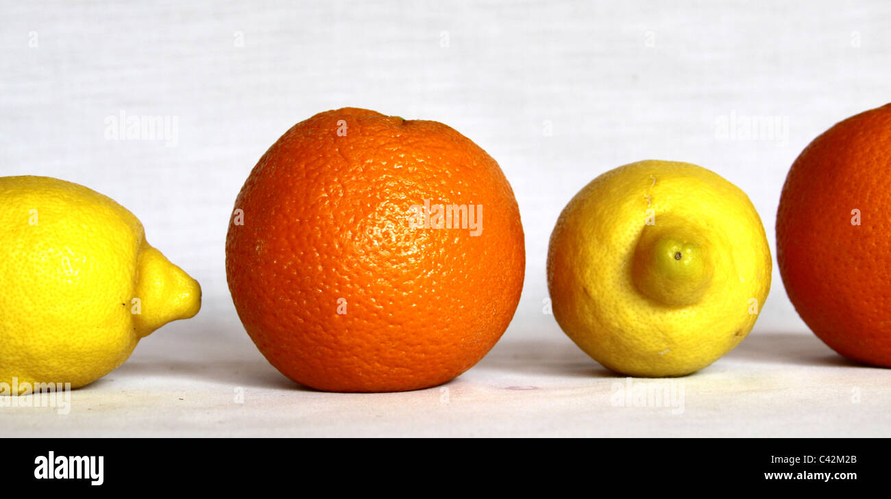 Oranges and Lemons Stock Photo Alamy