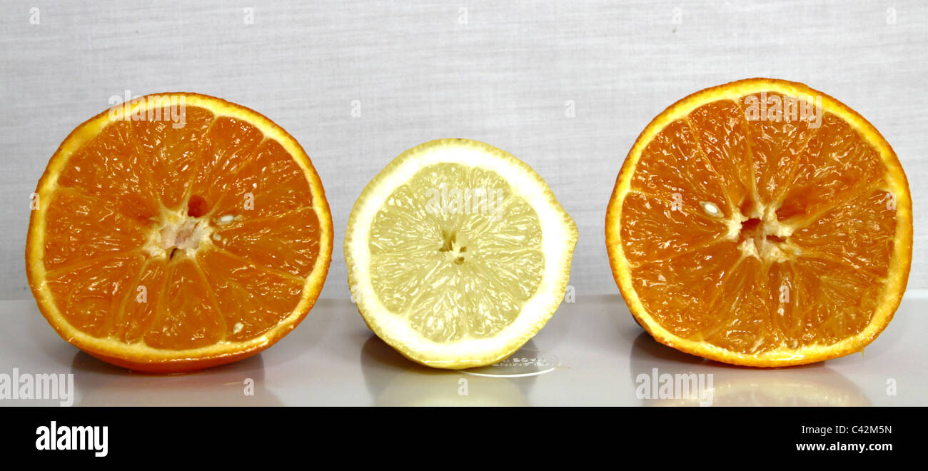 Oranges and Lemons Stock Photo Alamy