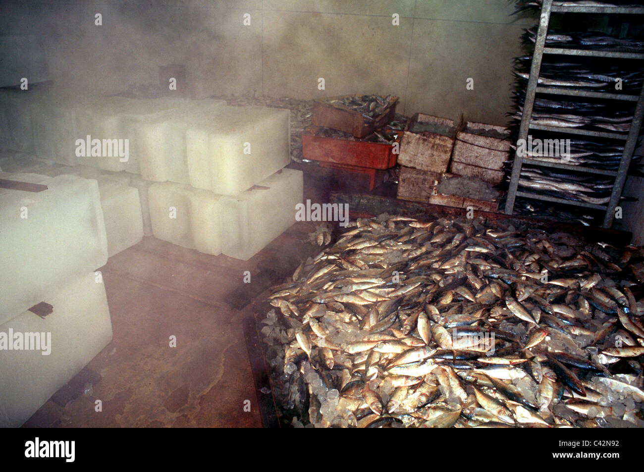 Sri lanka mannar island hires stock photography and images Alamy