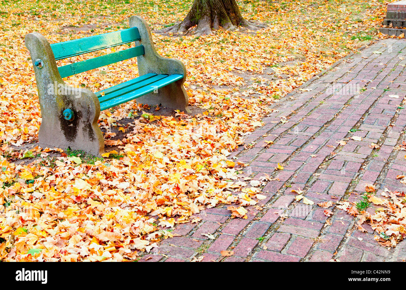 Park bench Stock Photo