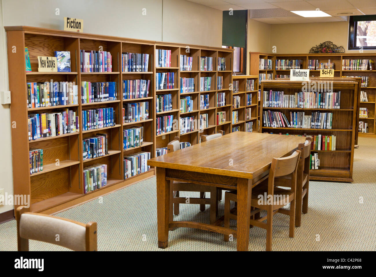 Books fill shelves at a small town library in Rockville, Indiana, USA