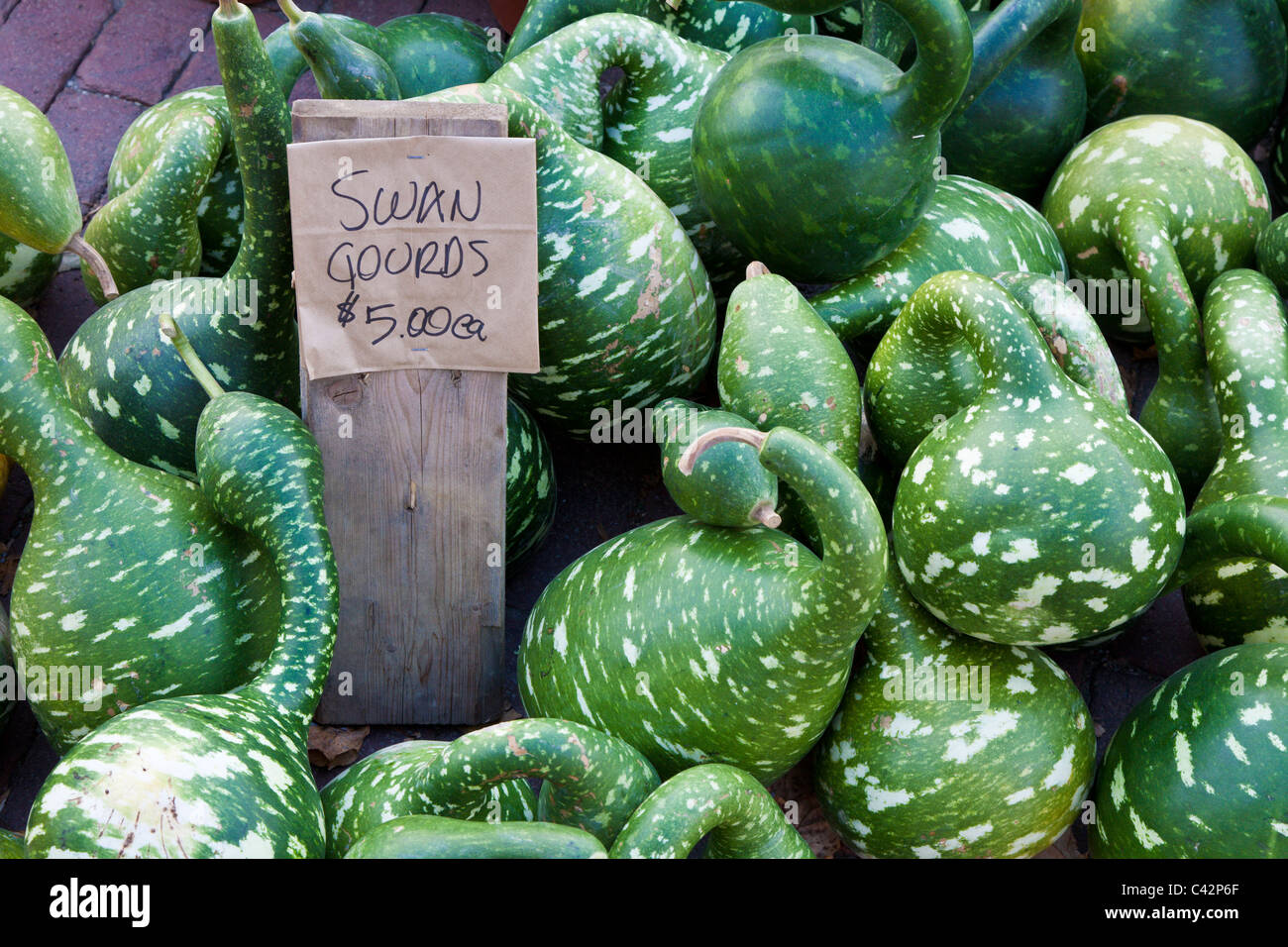 Swan Gourds for sale at $5 each Stock Photo