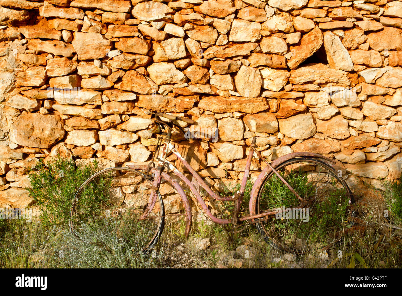 aged bicycle rusty on stone wall romantic melancholy memories Stock Photo
