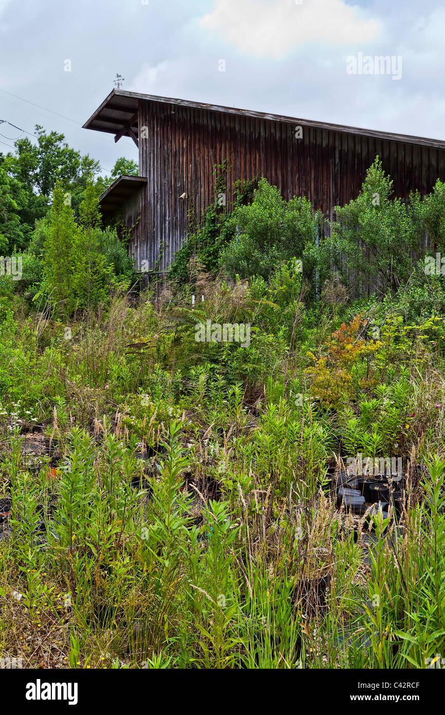 Rustic building at the top of a hill covered in vegetative growth. chriskirkphotography.net Stock Photo