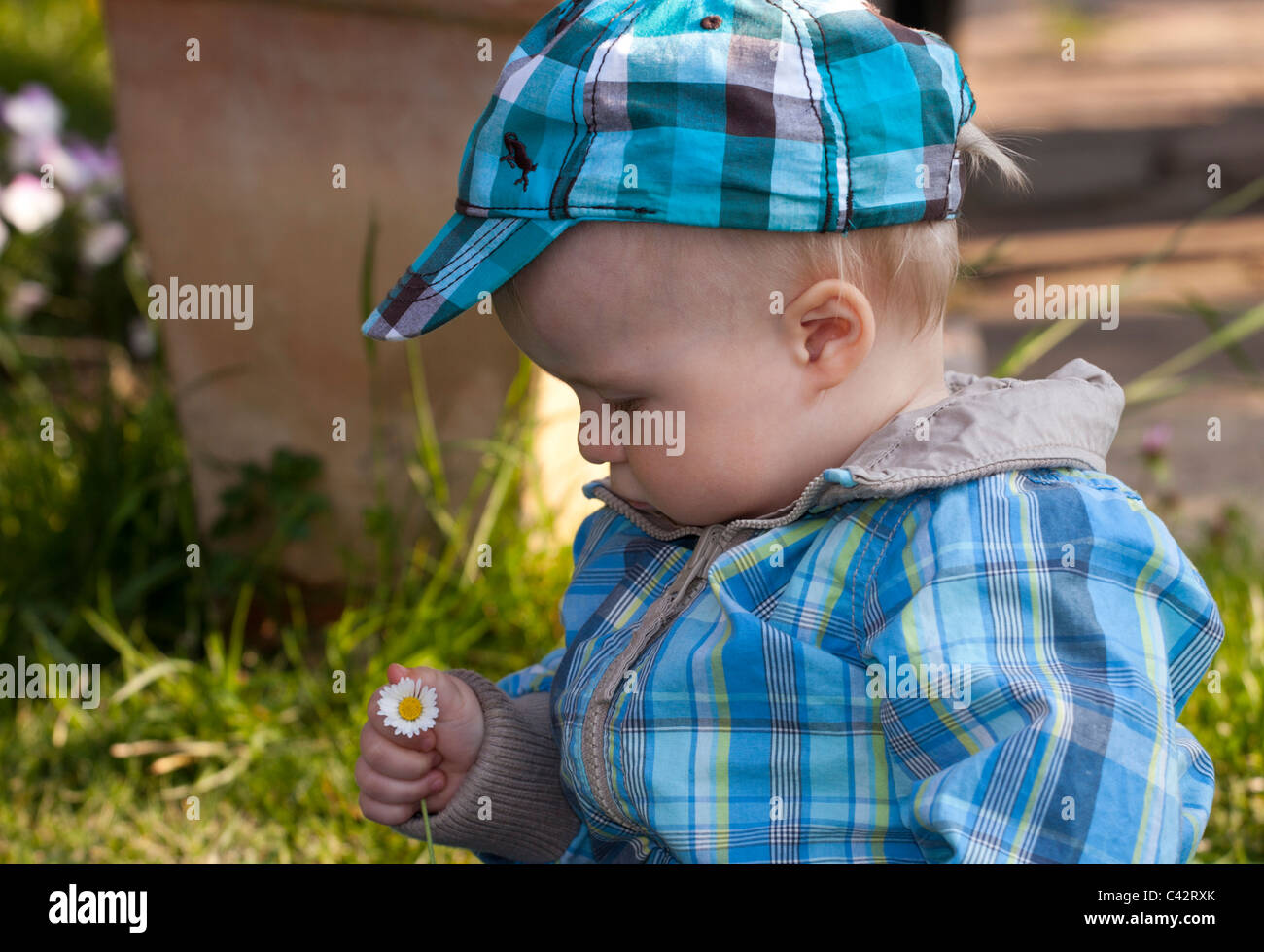 Baby boy holding small daisy flower. Stock Photo