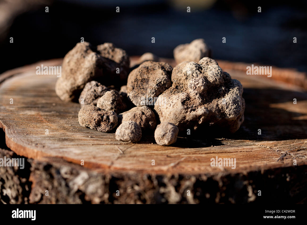 Hunters of the alps hires stock photography and images Alamy