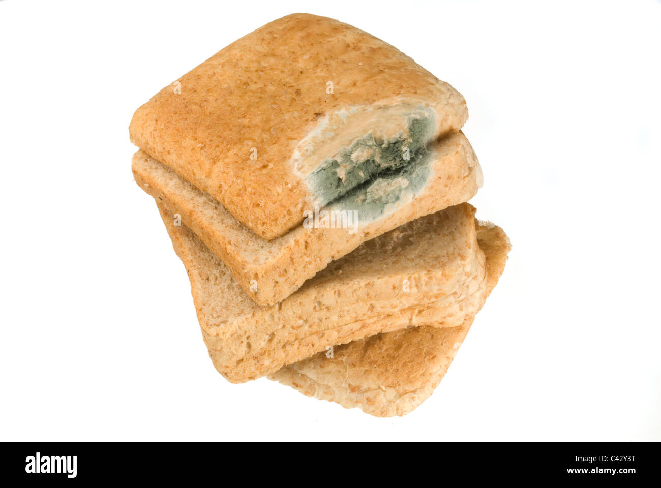 Old sliced moldy brown bread which was about 3 weeks old and had been stored in a refrigerator. Stock Photo