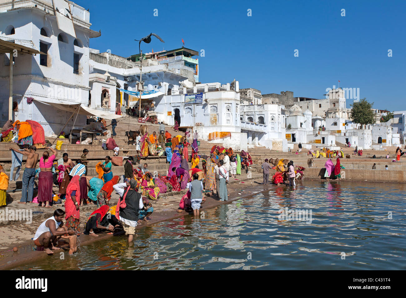 Hindu pilgrims bathing in the sacred waters of the Pushkar Lake. Rajasthan. India Stock Photo