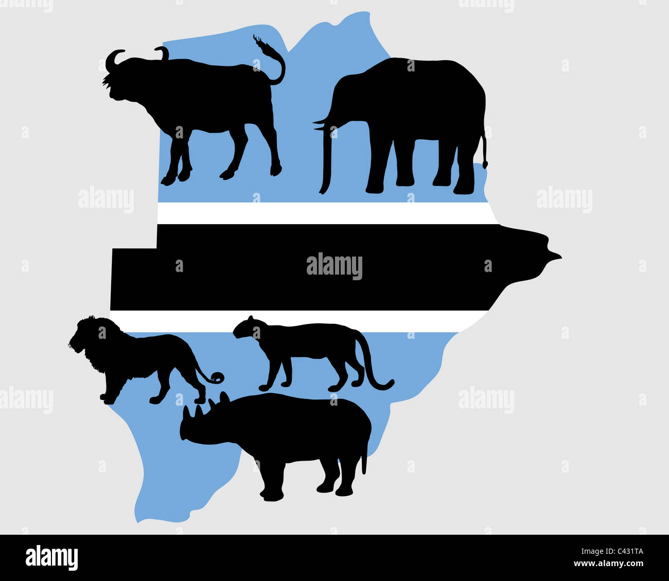 Big Five Botswana Stock Photo Alamy
