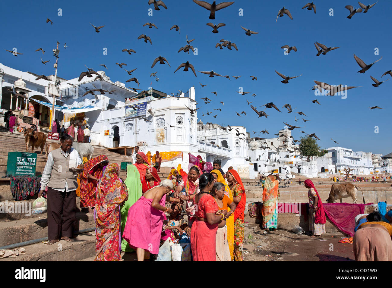 Indian women bathing in the sacred Pushkar lake. Rajasthan. India Stock Photo