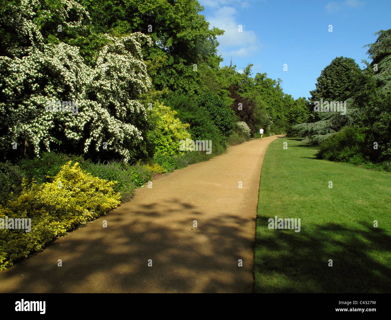 University Parks, Oxford, England Stock Photo