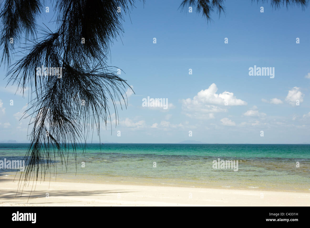 tropical beach and  filao pine tree hanging, ko laoliang, Thailand Stock Photo