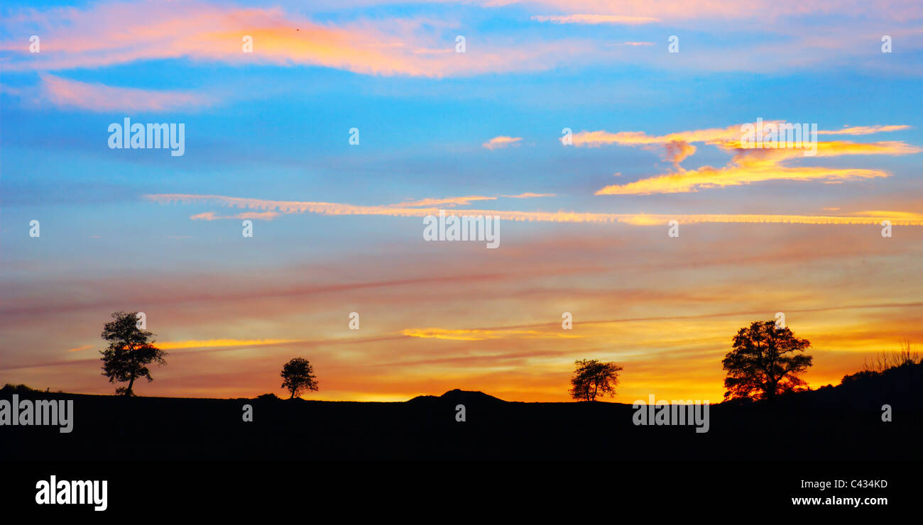 Beautiful cloudy and colored evening sky behind a line of trees Stock Photo