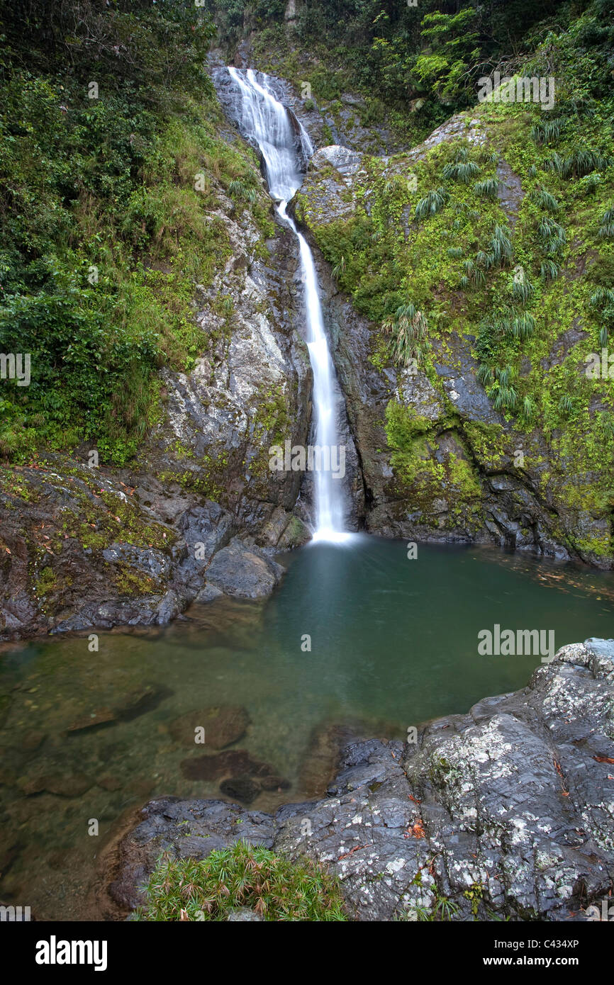 Usa, Caribbean, Puerto Rico, Central Mountains, Toro Negro Forest, Dona Juana Waterfall Stock Photo