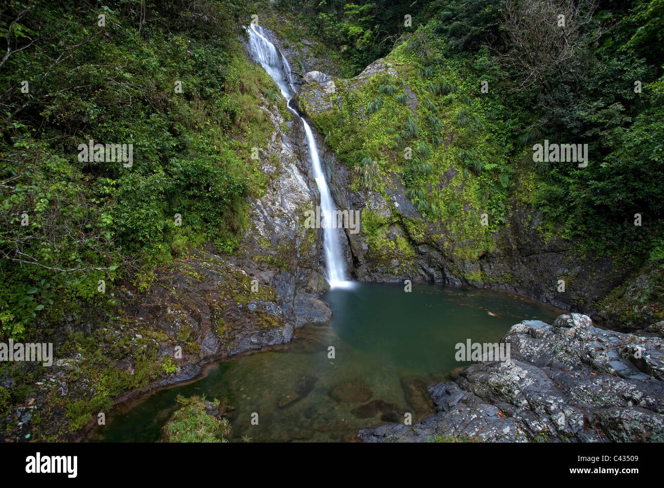 Usa, Caribbean, Puerto Rico, Central Mountains, Toro Negro Forest, Dona ...