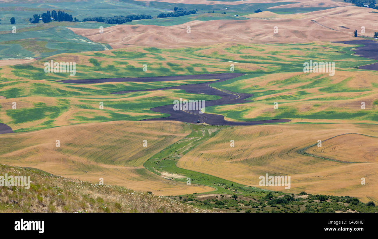 View of the Palouse agricultural landscape from Steptoe Butte Washington USA Stock Photo