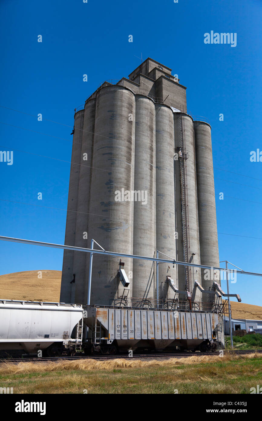 Grain elevator in the Palouse Washington USA Stock Photo Alamy