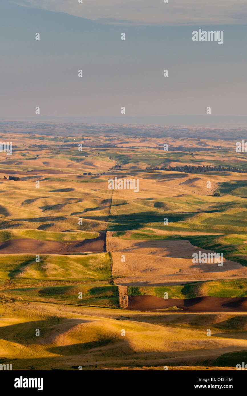 View of the Palouse agricultural landscape from Steptoe Butte Washington USA Stock Photo