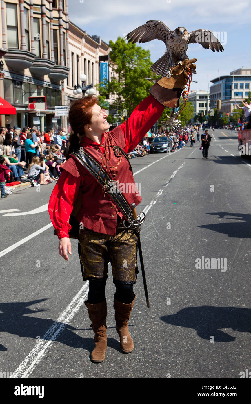 A hawk spreading his wings on his trainer's hand during the Victoria Day parade in Victoria, BC, May 2011. Stock Photo