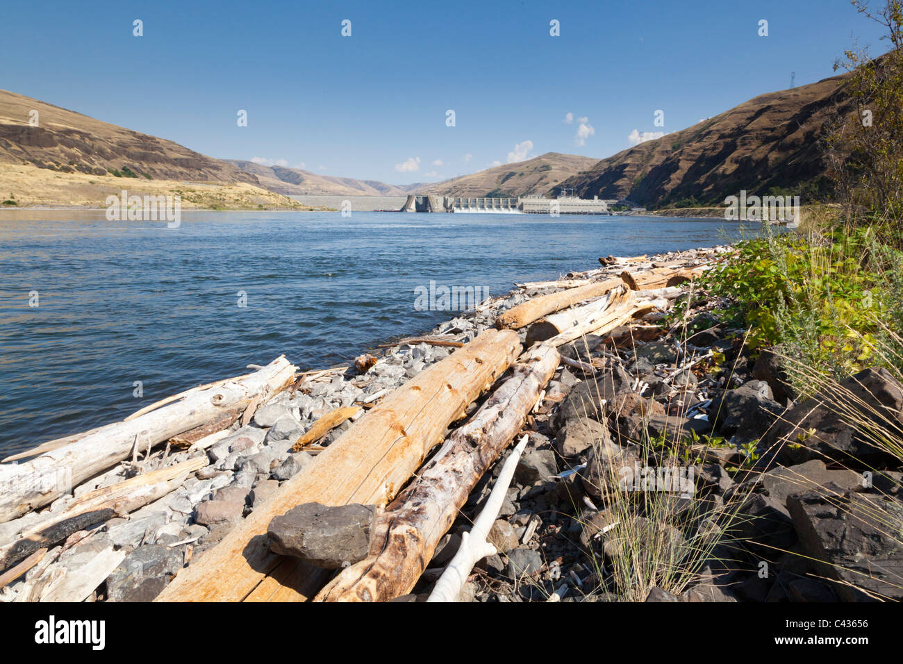 Estimating Total Dam Escapement At The Lower Granite Dam Isemp