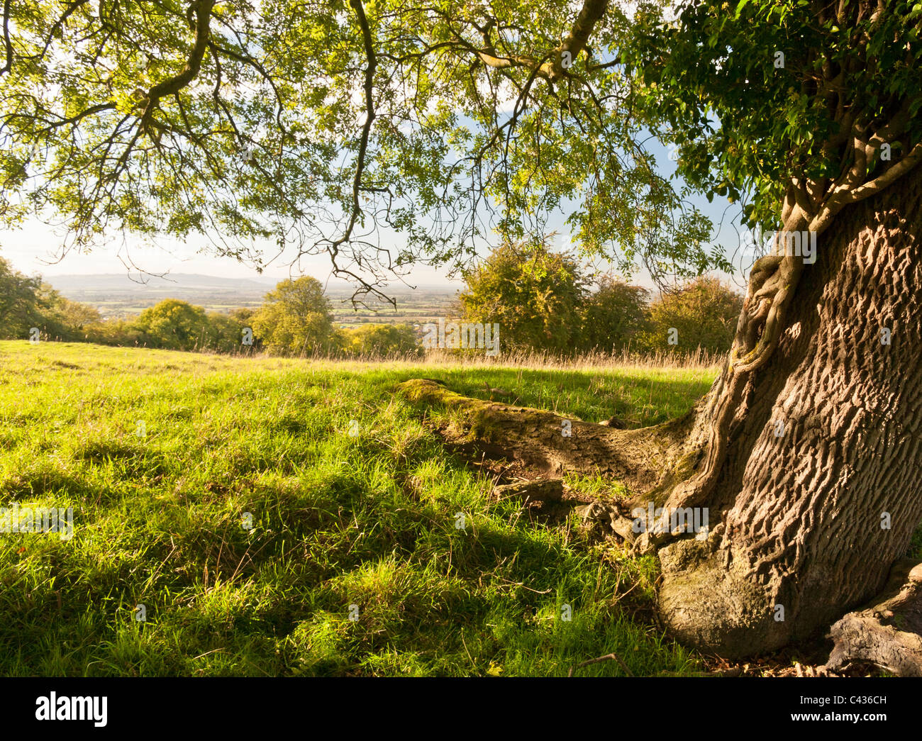 scenic English countryside view on a sunny day Stock Photo