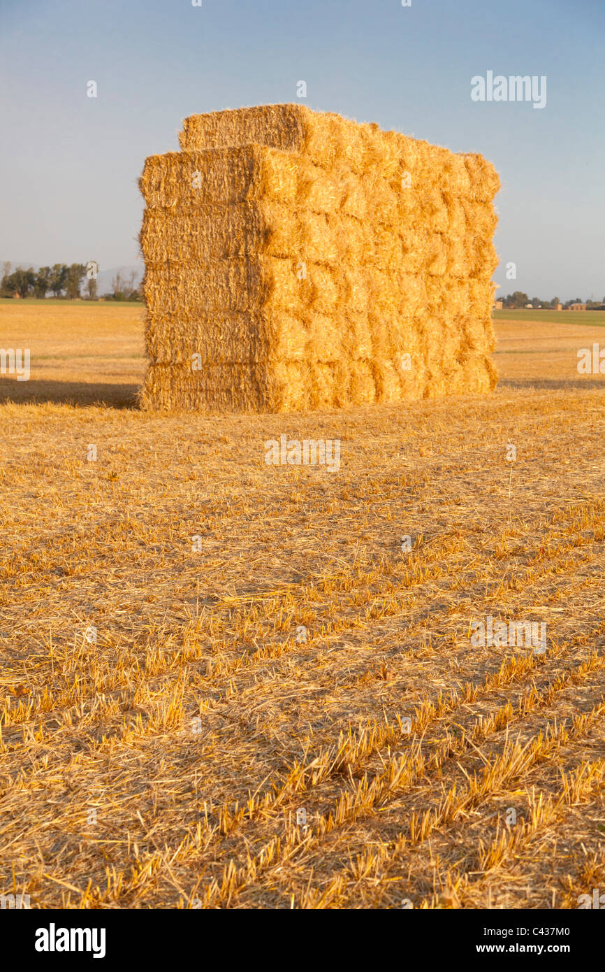 Stack of hay hi-res stock photography and images - Alamy