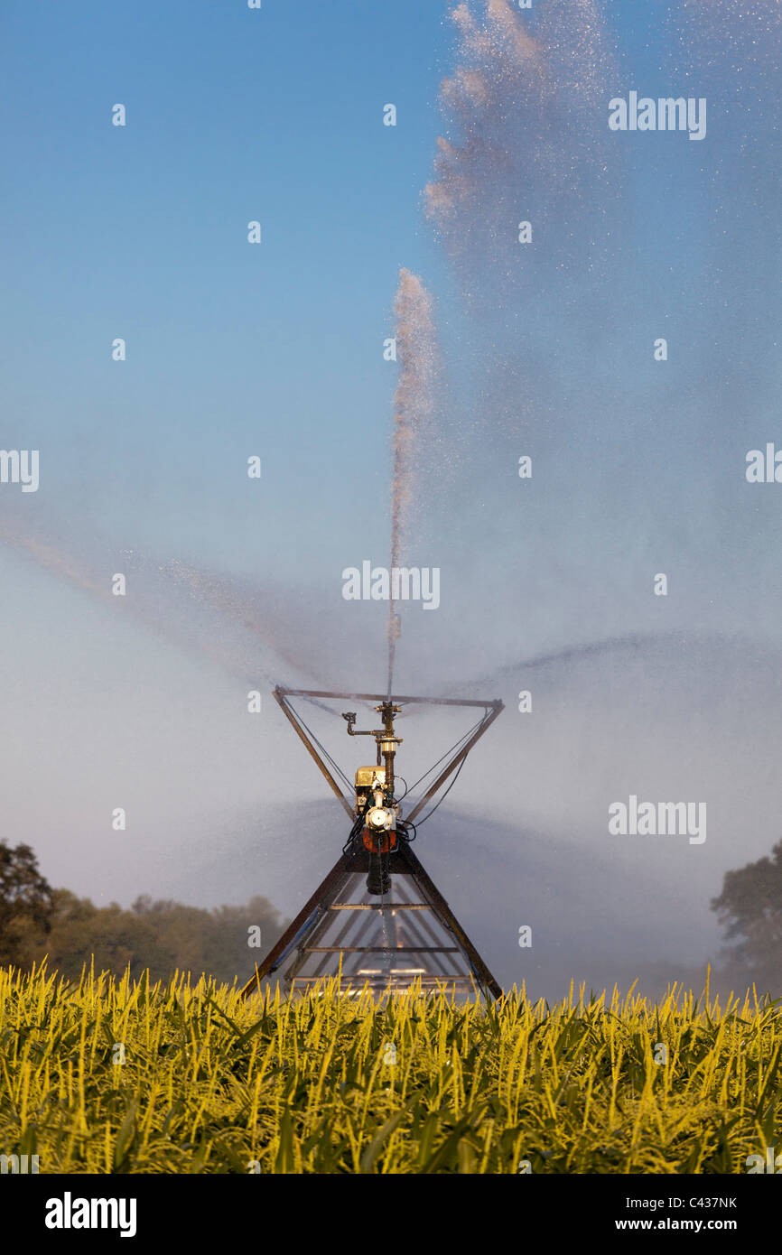 Spray irrigation in Willamette Valley Oregon USA Stock Photo Alamy
