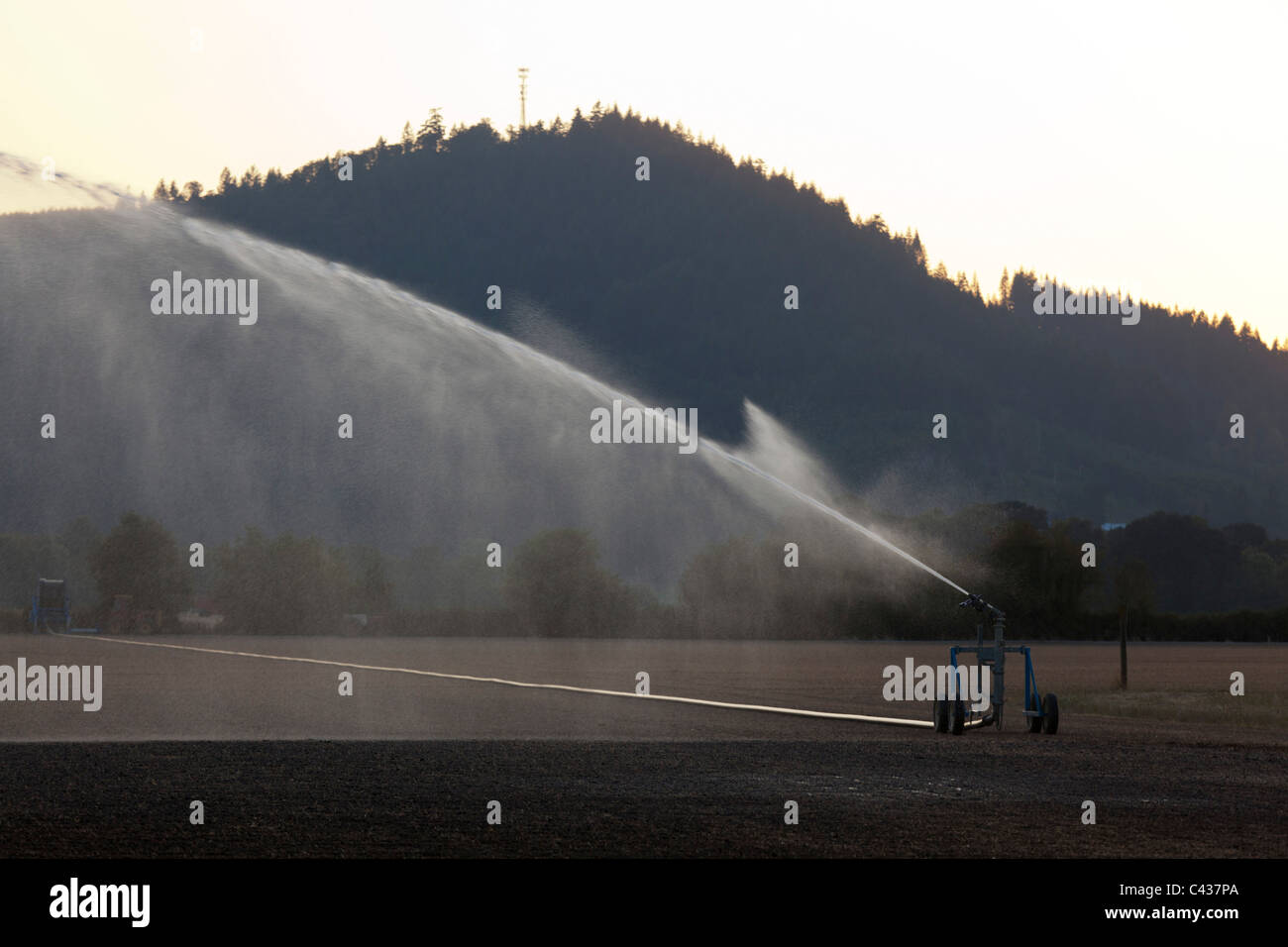 Spray irrigation in Willamette Valley Oregon USA Stock Photo Alamy