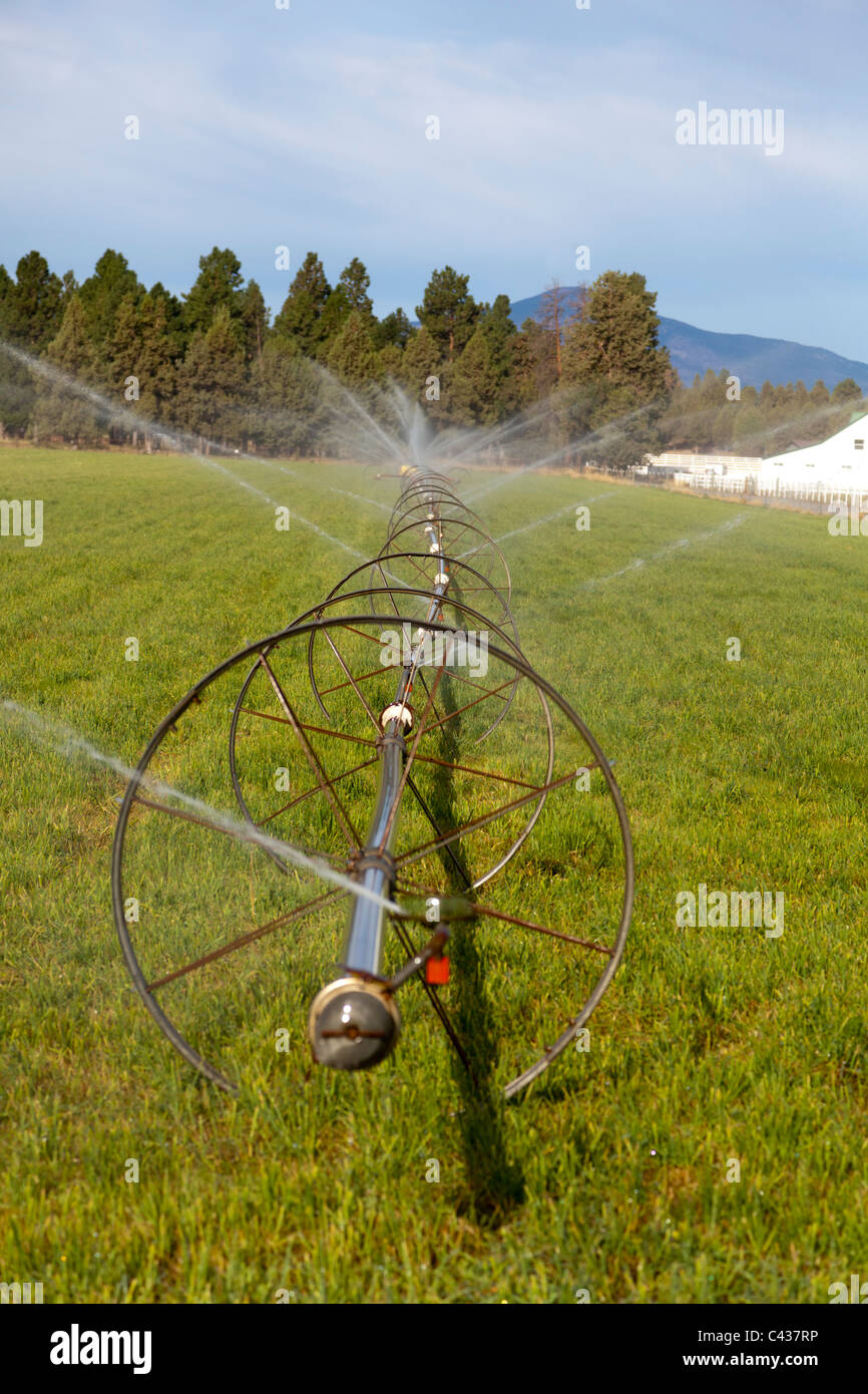 Spray irrigation near Sisters Oregon USA Stock Photo Alamy