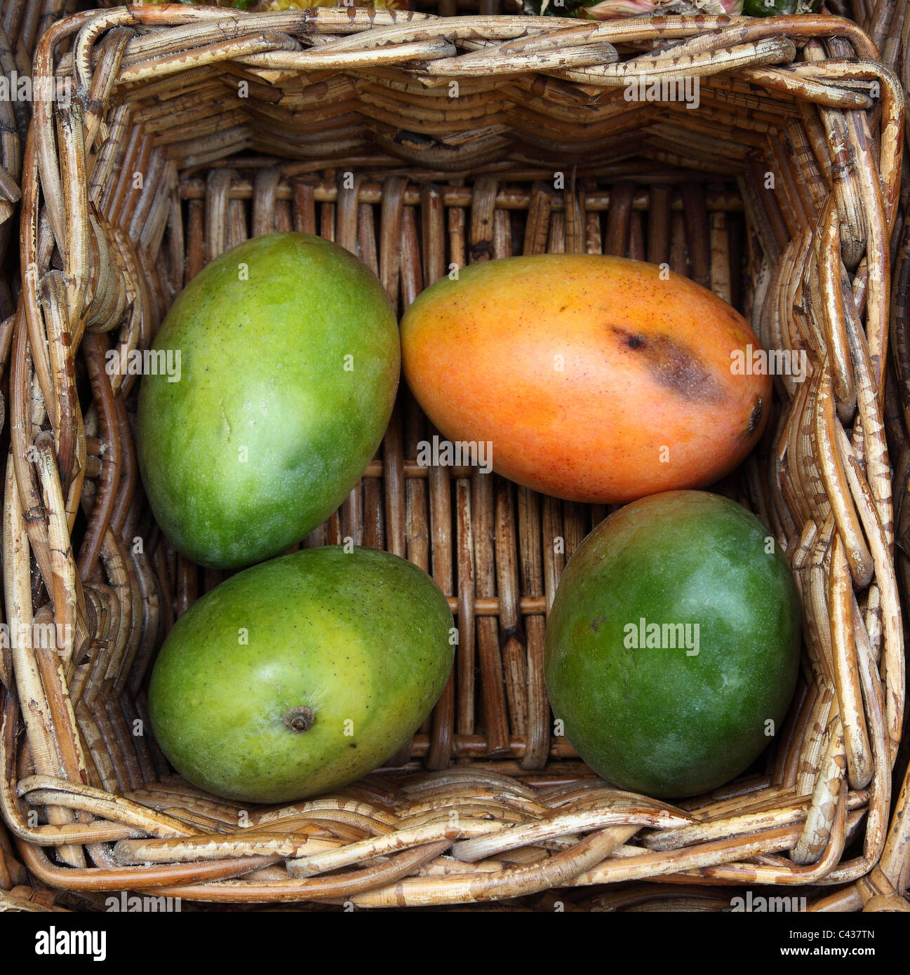 Box of mangoes hires stock photography and images Alamy