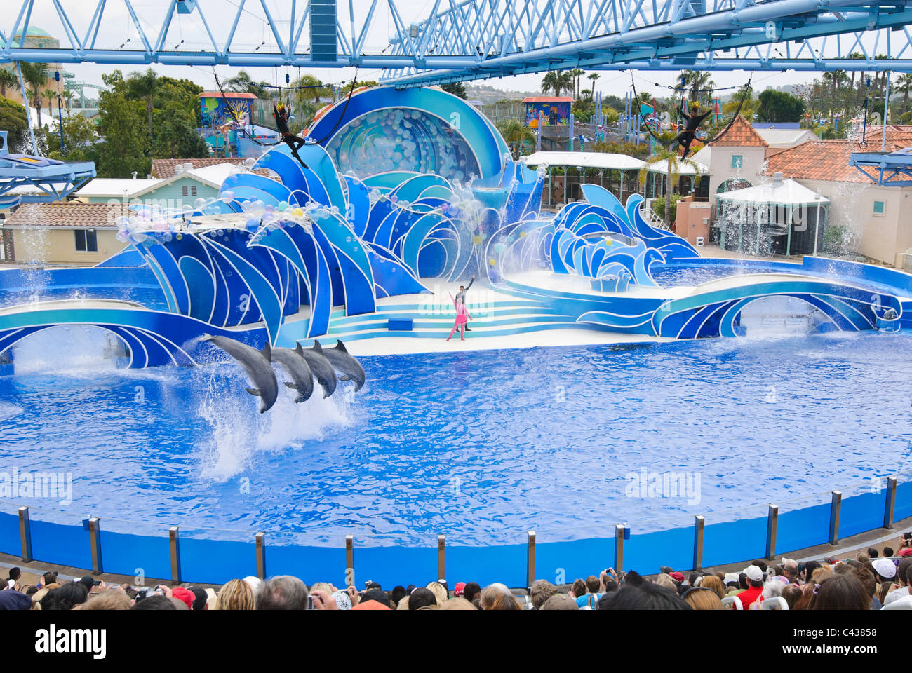 The dolphin show, Blue Horizons at SeaWorld Stock Photo - Alamy