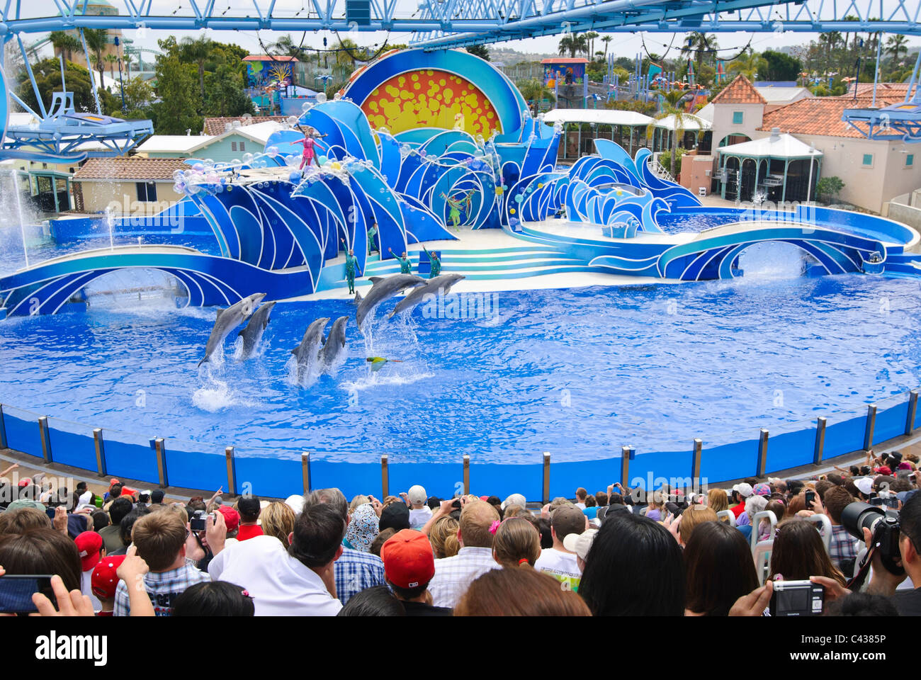 The dolphin show, Blue Horizons at SeaWorld Stock Photo - Alamy