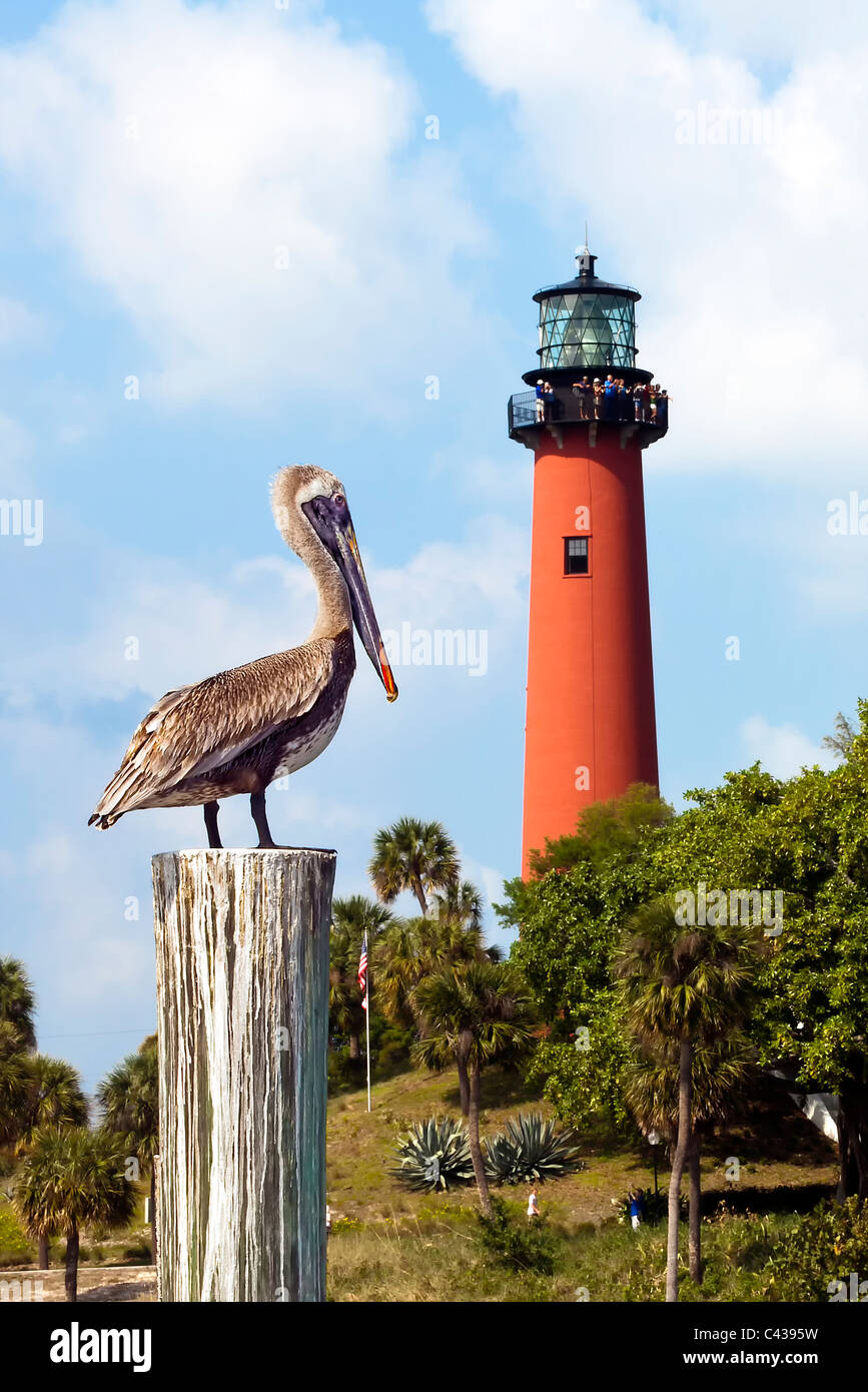 Jupiter Lighthouse Stock Photo Alamy
