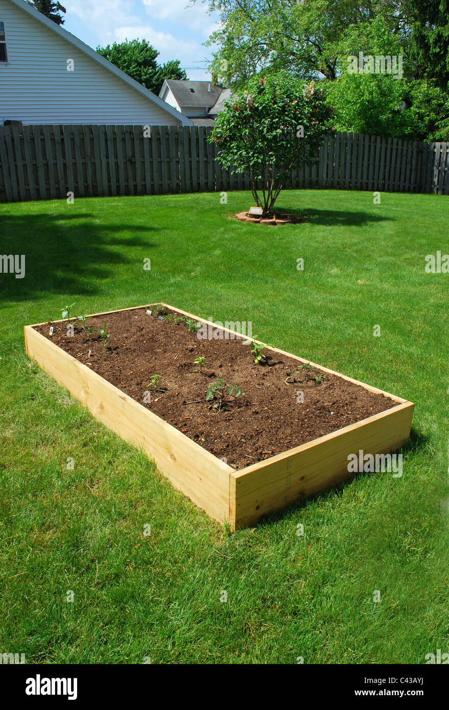 Raised garden box in backyard Stock Photo Alamy