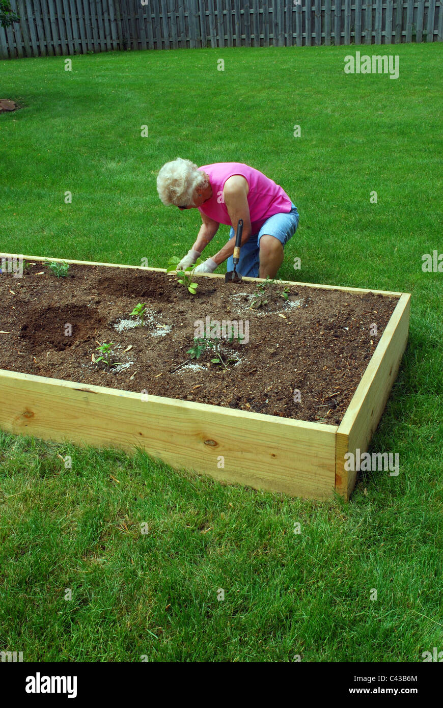 Senior woman plants garden in spring Stock Photo - Alamy