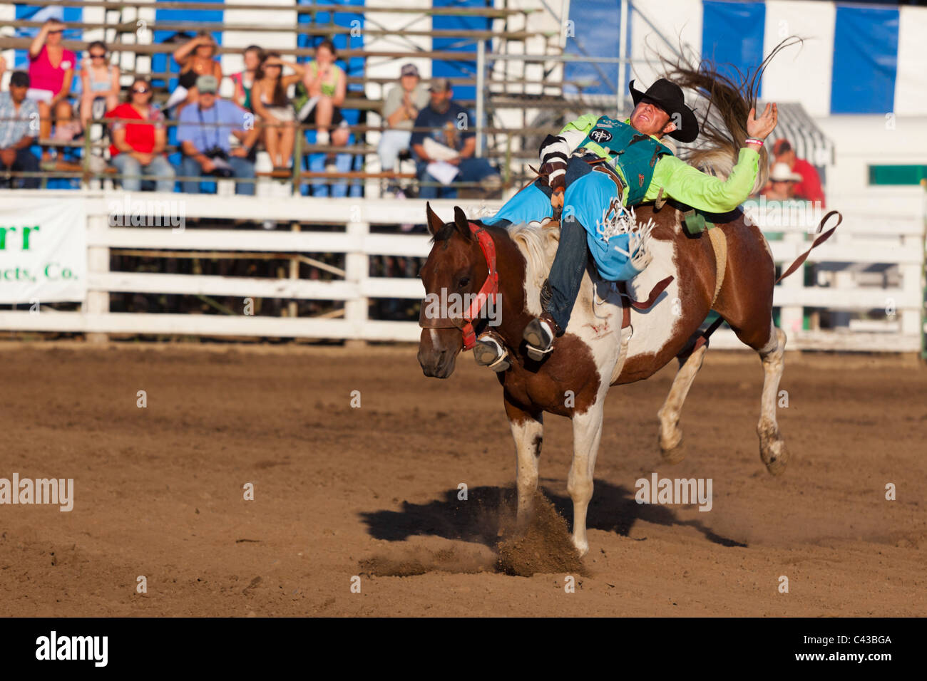 Rodeo at Benton County Fair, Corvallis, Oregon, USA 2009 Stock Photo