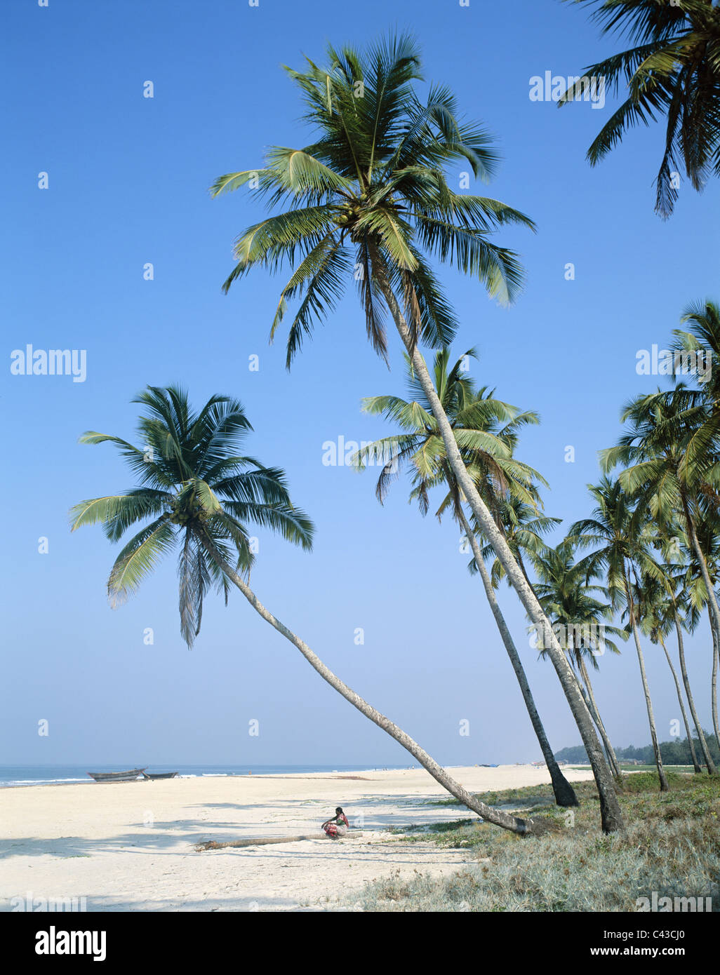 Colva beach, Goa, Holiday, India, Asia, Landmark, Palm trees, Tourism ...