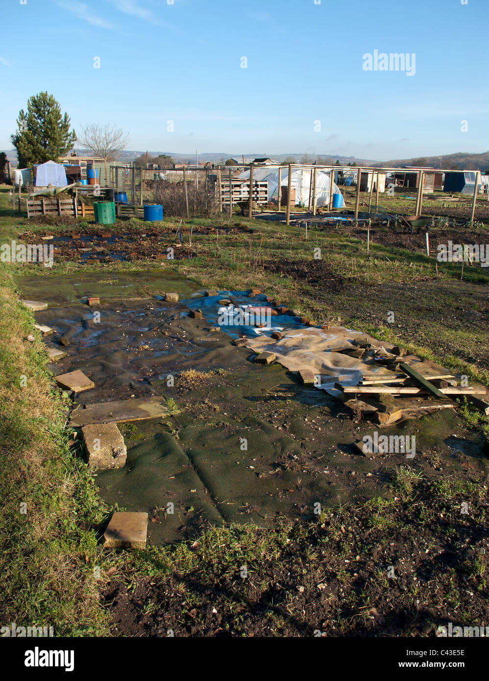 Allotment in the winter. Stock Photo