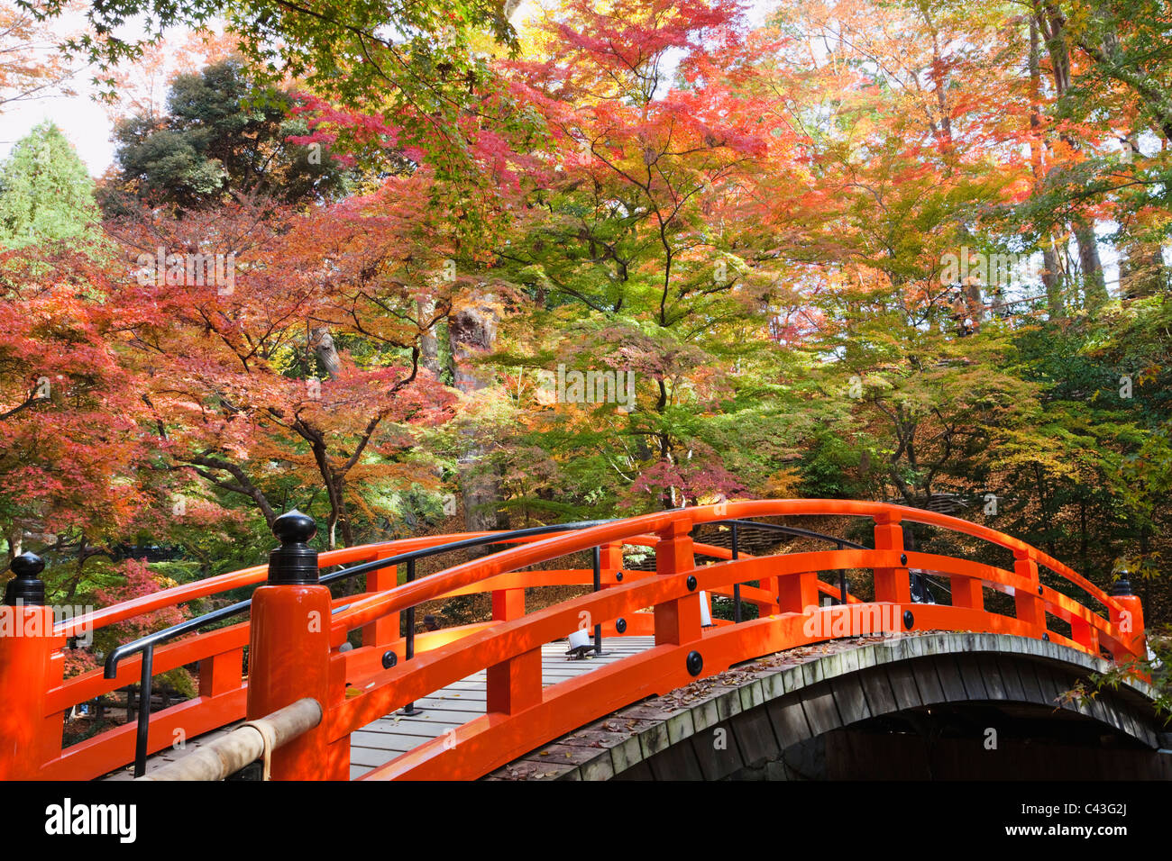 Asia, Japan, Kyoto, Kitano Temmangu Shrine, Bridge, Bridges, Wooden Bridge, Wooden Bridges, Seasons, Autumn, Fall, Autumn Leaves Stock Photo