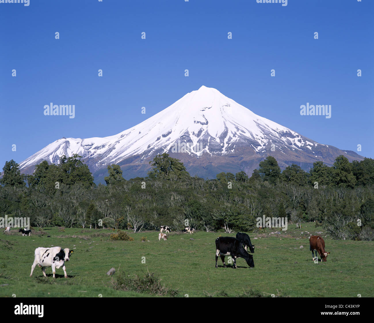 Egmont, Holiday, Landmark, Mount, Mount egmont, Nationalpark, New