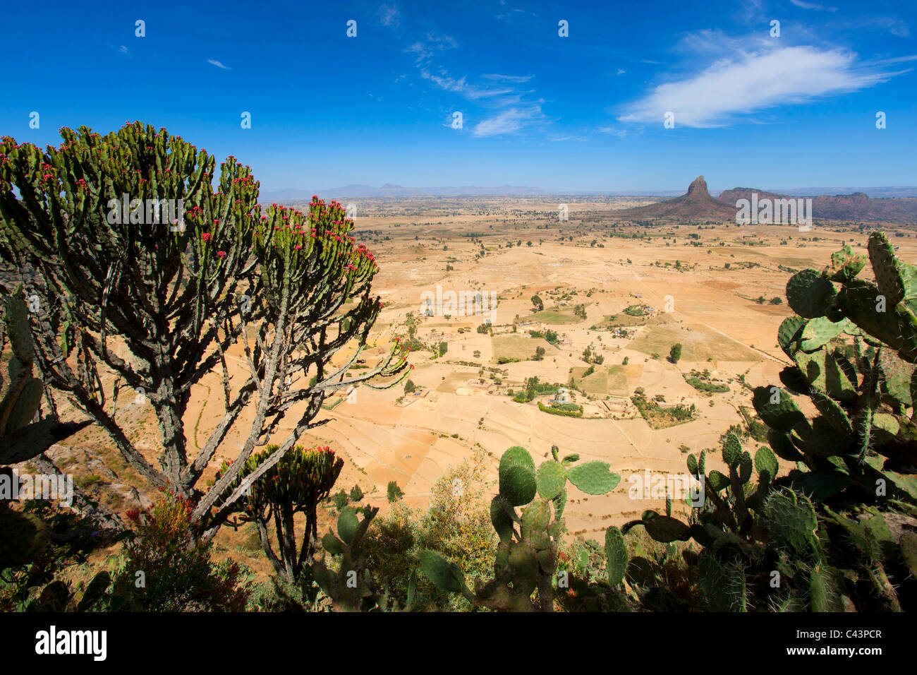 Gerealta, Africa, Ethiopia, highland, view point, cacti Stock Photo