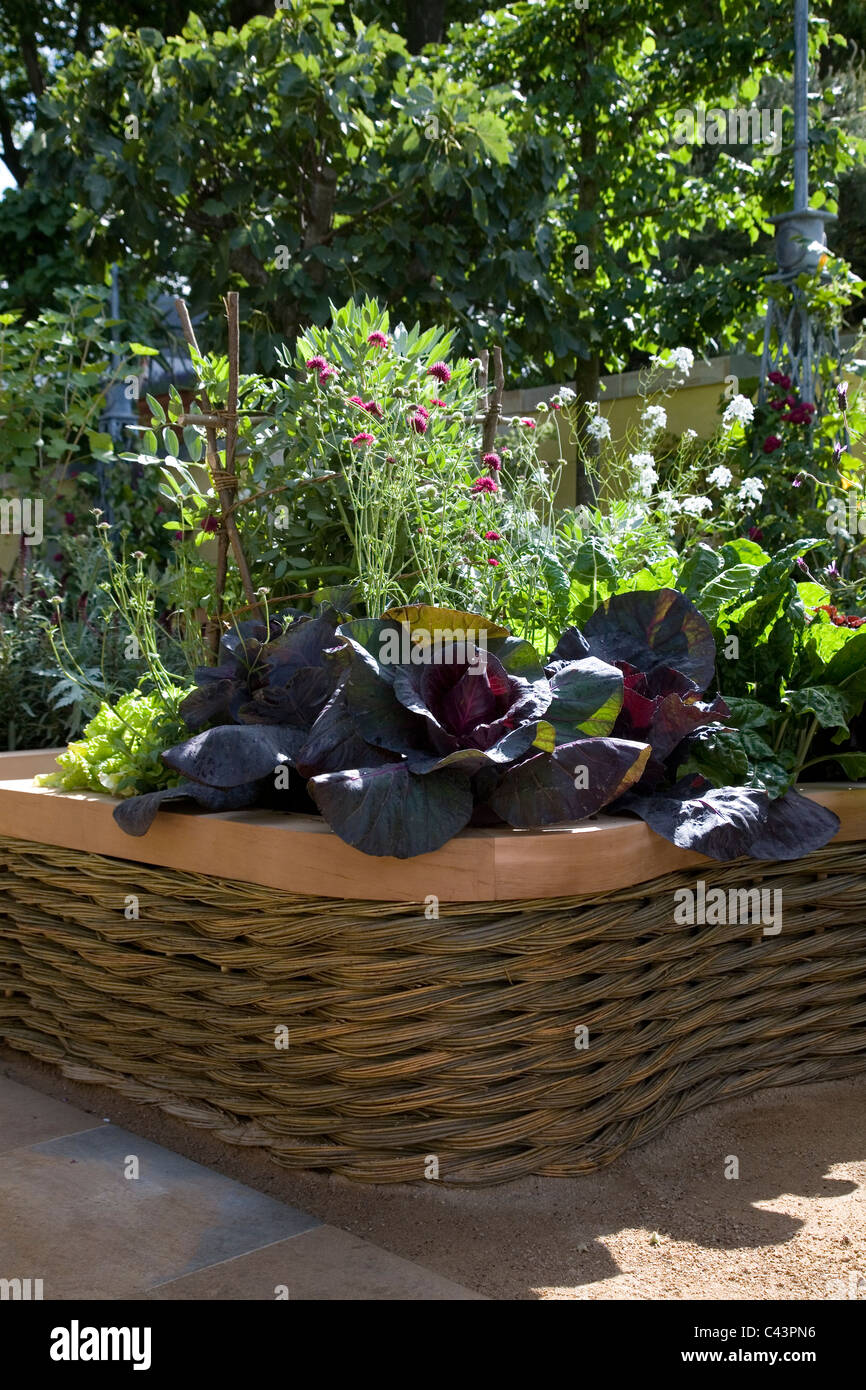 Woven willow raised beds hires stock photography and images Alamy