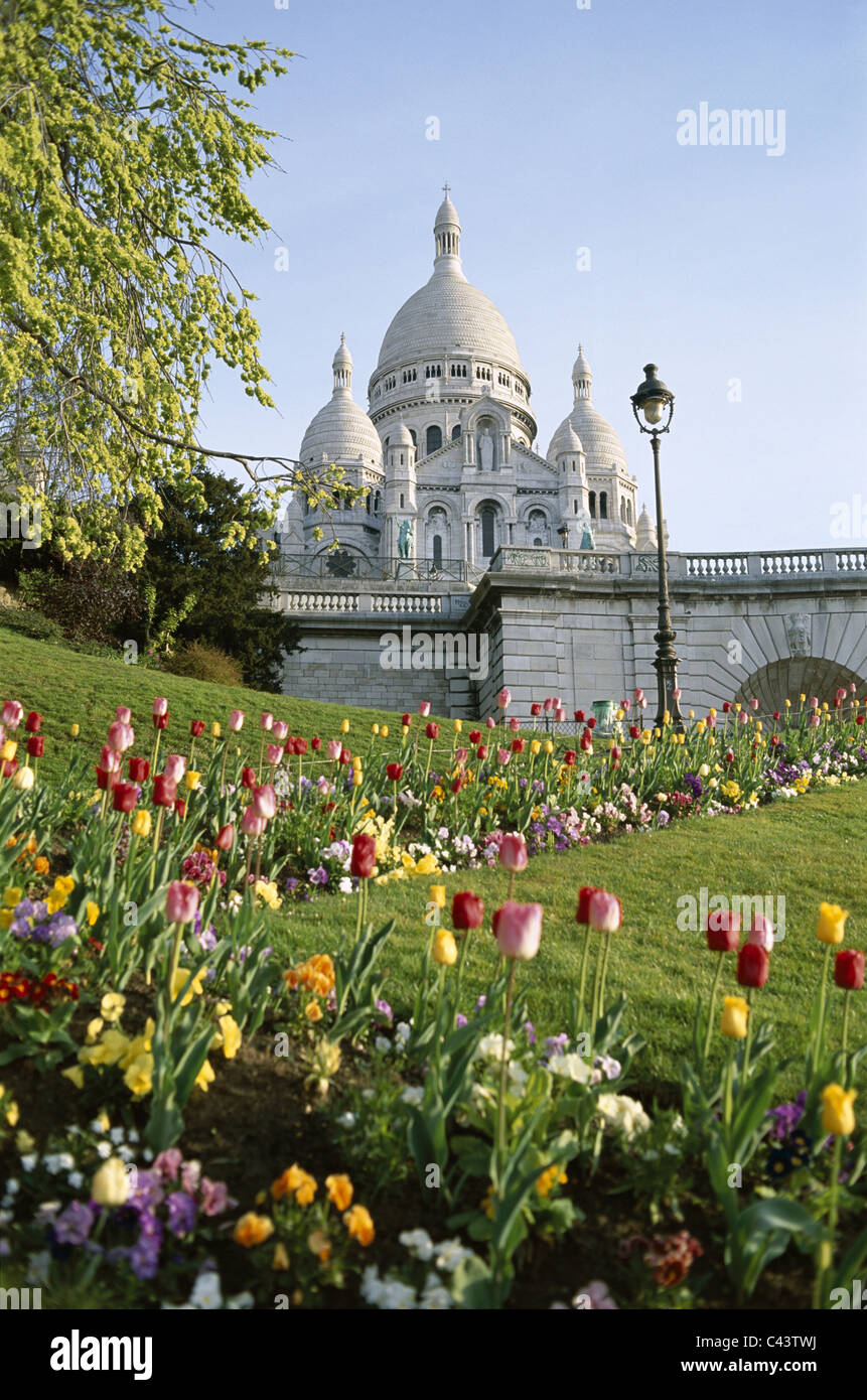 Basilique du sacre coeur, Coeur, Flowers, France, Europe, Holiday, Landmark, Paris, Sacre, Tourism, Travel, Tulips, Vacation, Stock Photo