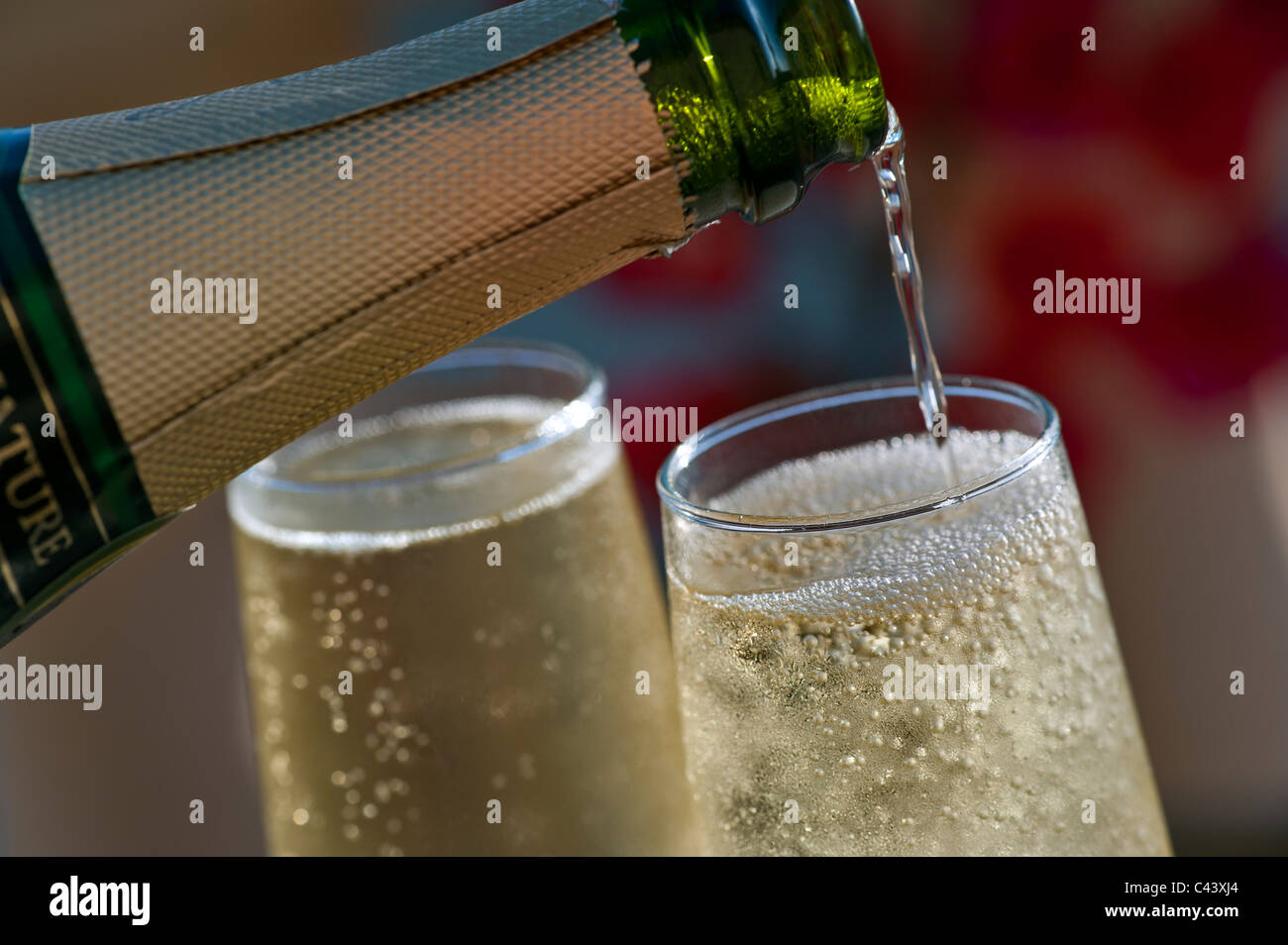 Sparkling Champagne pouring chilled glasses with bubbles of champagne on sunlit terrace with colourful Bougainvillea flowers and pool in background Stock Photo