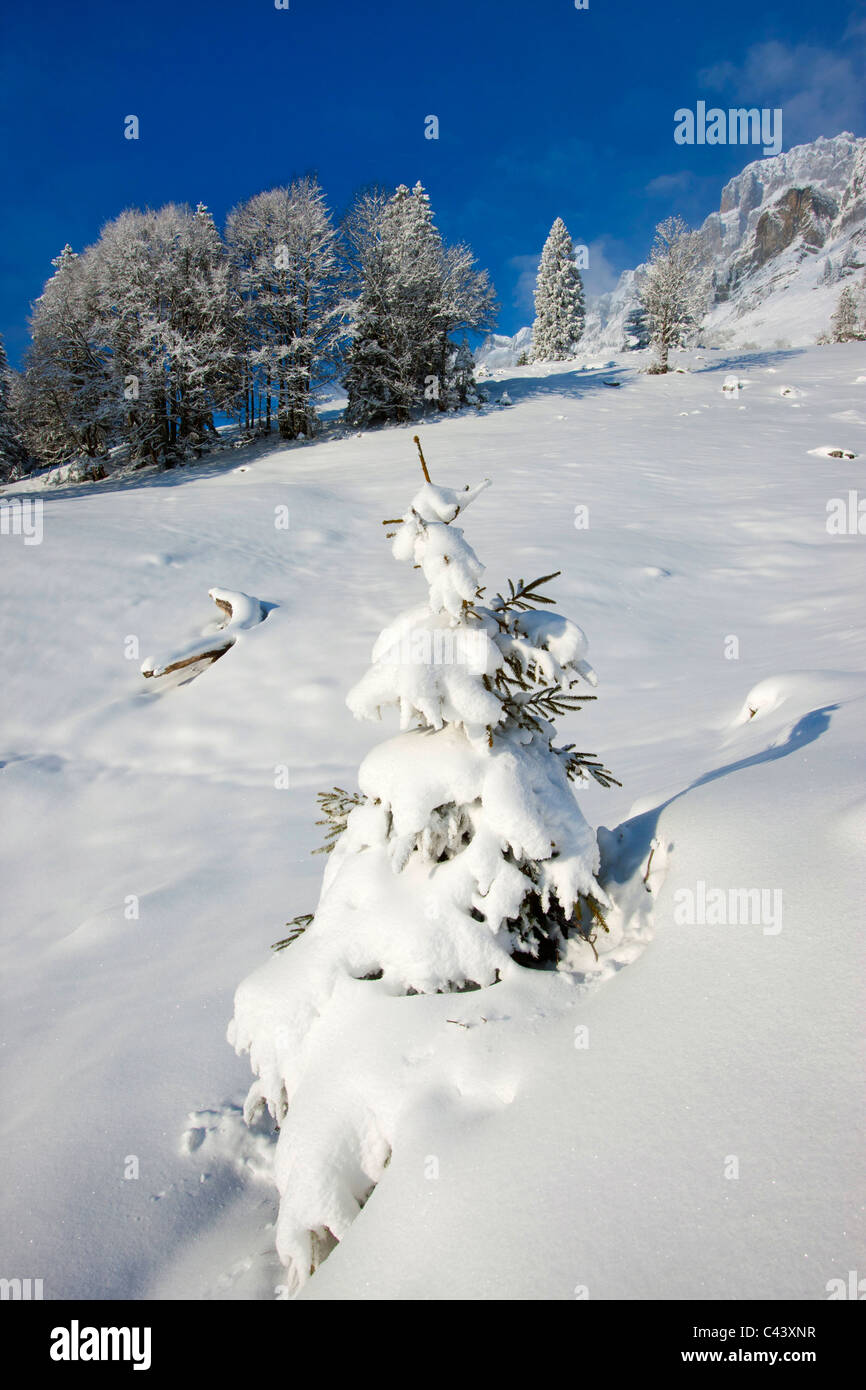 New glarus hires stock photography and images Alamy