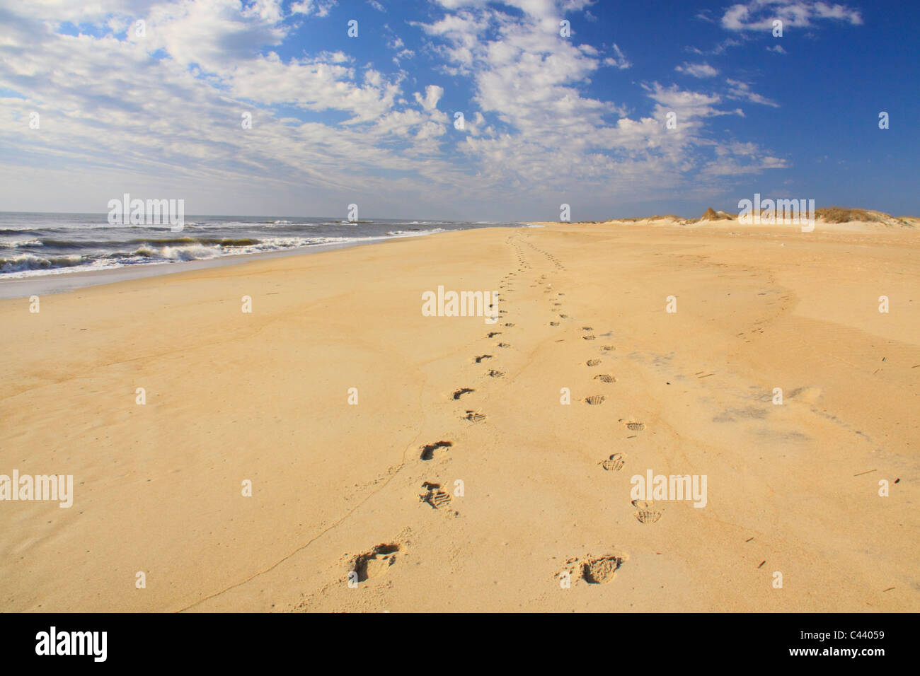Footprints on the beach, Cape Hatteras National Seashore, Outer Banks