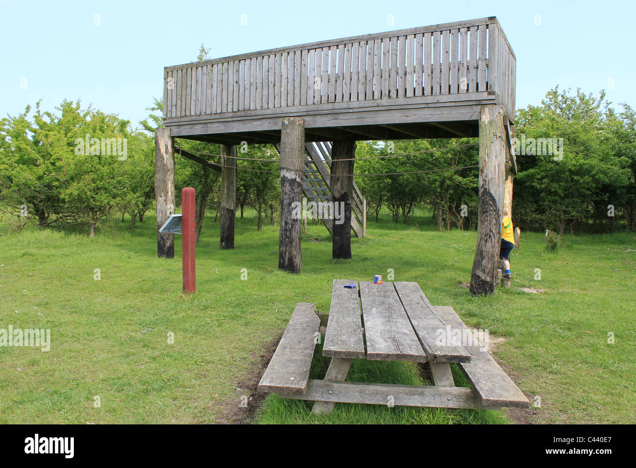 Tower build for birdwatchers in Nature center of Vestamager Stock Photo -  Alamy