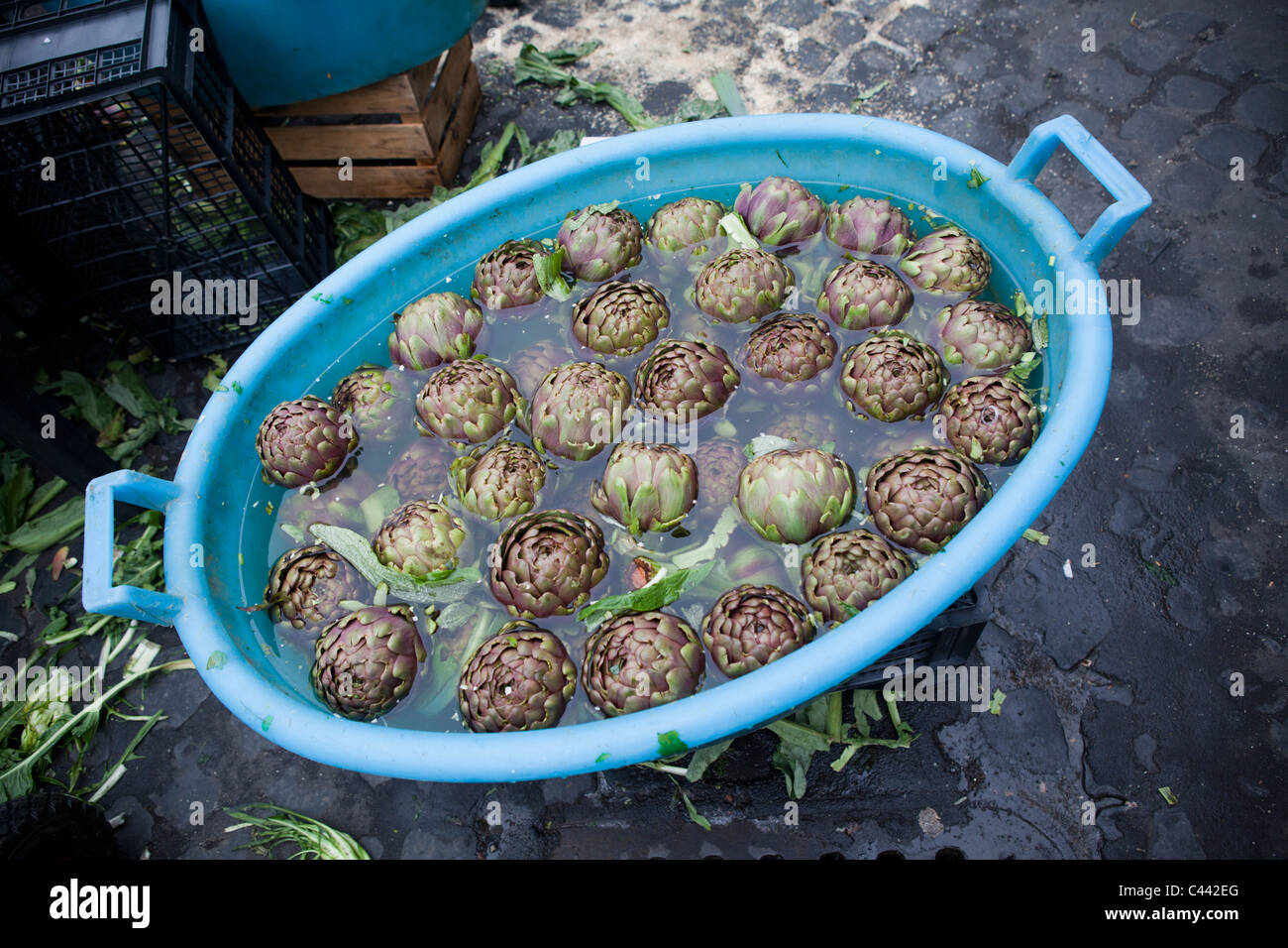 Artichokes floating in a blue tub of water Stock Photo Alamy